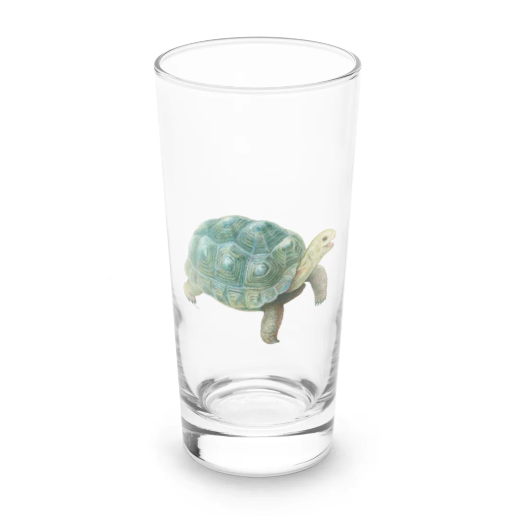 めろんぽっぷのお店だよの踏みだせ、アルダブラゾウガメ 。 Long Sized Water Glass :front