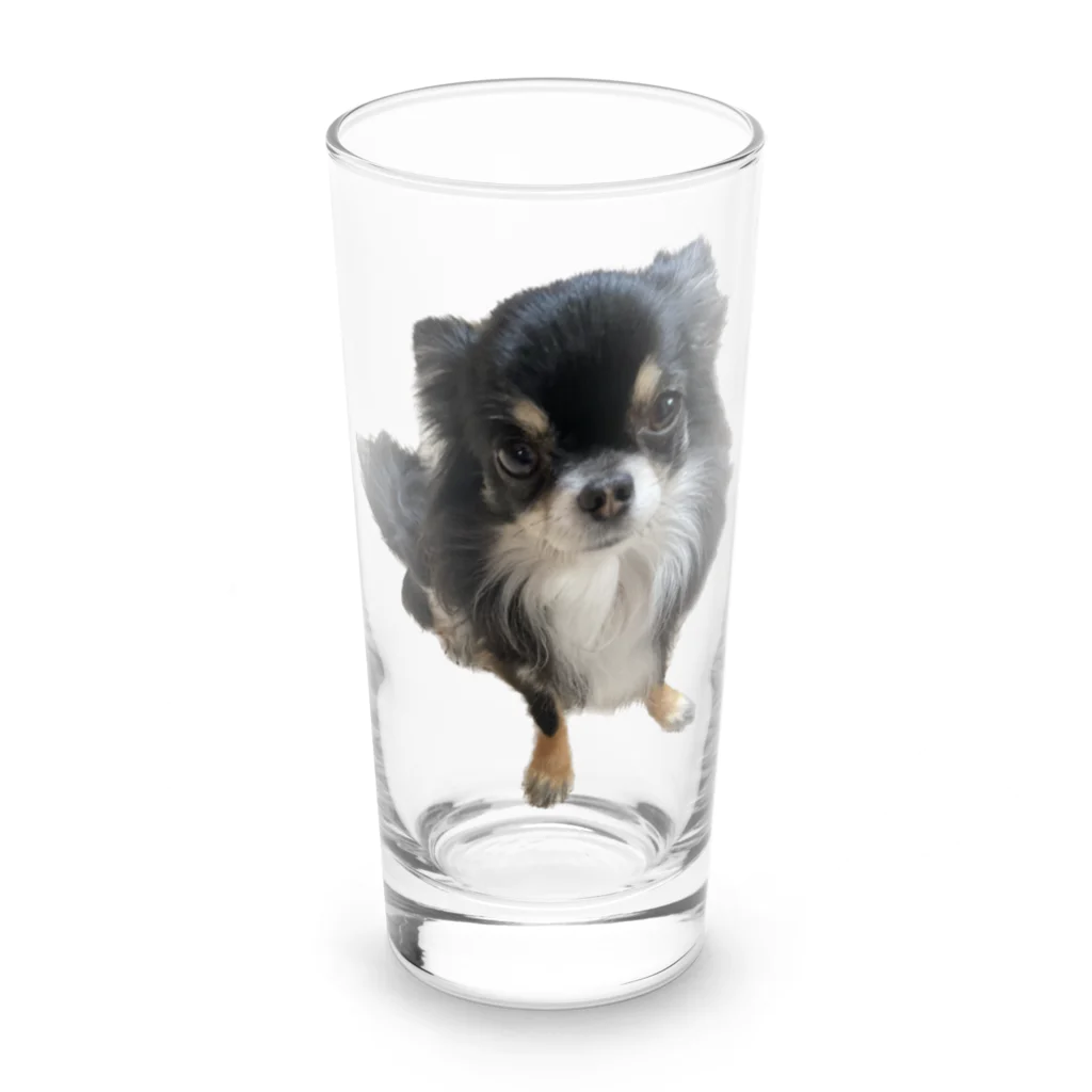 ちわわのりんちゃんのちわわのりんちゃん Long Sized Water Glass :front