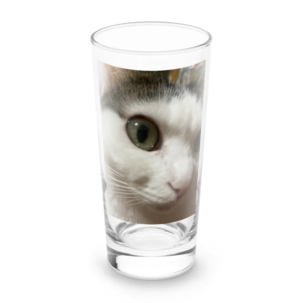 わが家の猫山さん。の猫山さん。はるがきた。 Long Sized Water Glass :front