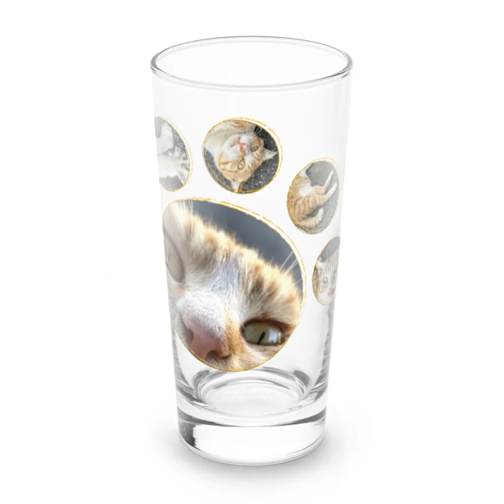 猫ねむりzzz..の茶白猫ちゃんのドアップ  Long Sized Water Glass :front