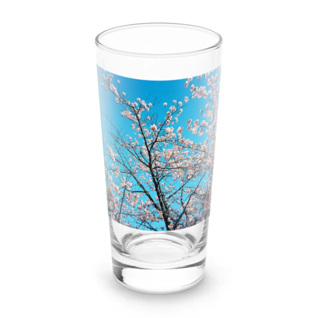 堕天使ストアの桜 Long Sized Water Glass :front