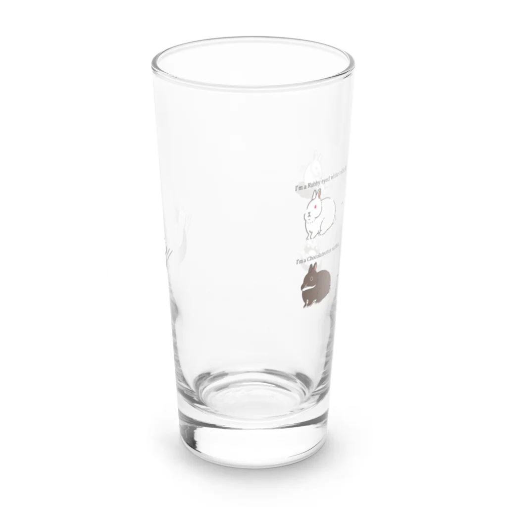 スタジオレッキスのルビーアイドホワイトからチョコレートオターに変身！ Long Sized Water Glass :front