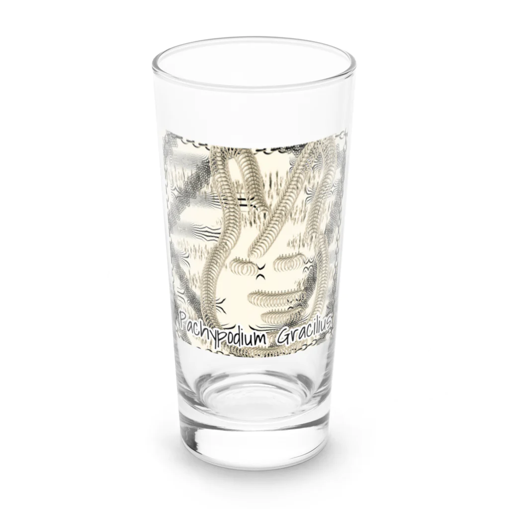 パキポキさんのPachypodium Gracilius  Long Sized Water Glass :front