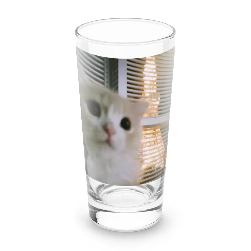 にゃんこの「めめたん」グッズのねこと東京タワー Long Sized Water Glass :front