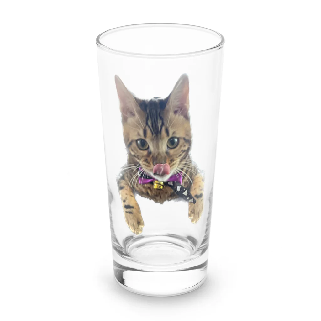 いくママ 猫との毎日のペロリンおむすび Long Sized Water Glass :front