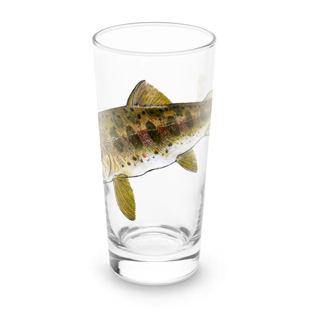 魚…ですか？のアマゴ Long Sized Water Glass :front