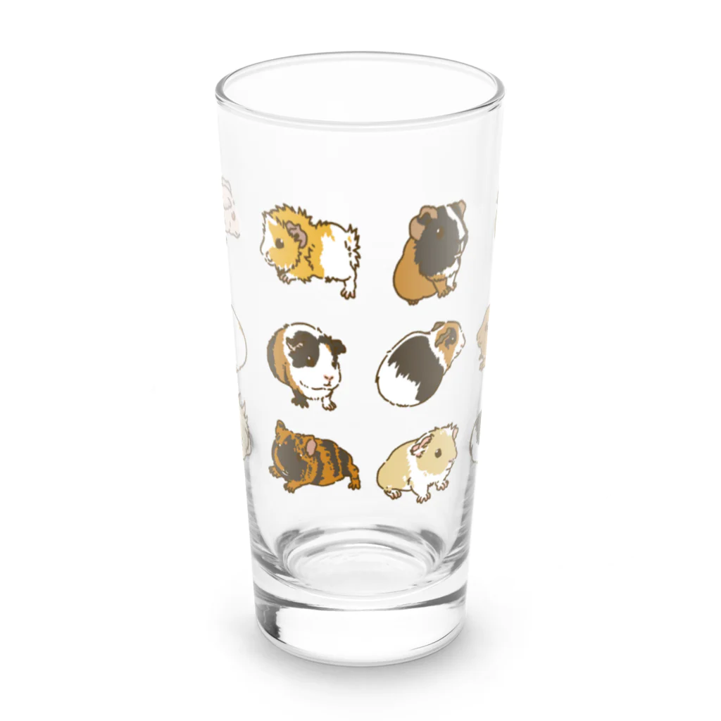 Lichtmuhleの2023モルモットカレンダー大集合01 Long Sized Water Glass :front