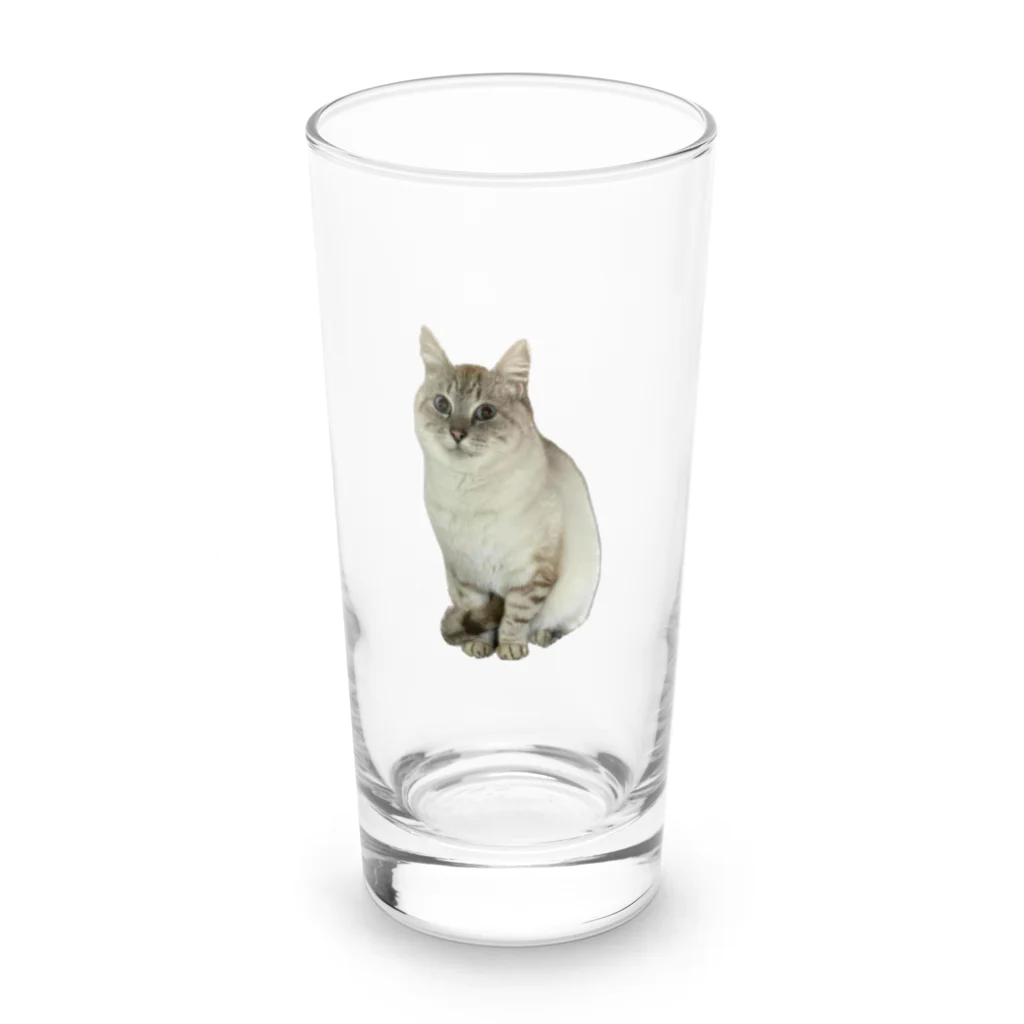 元野良猫しらたまグッズの元野良猫しらたま Long Sized Water Glass :front