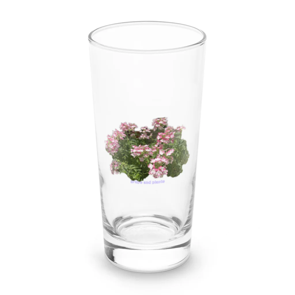 TANIKU-WANのバーベナ Long Sized Water Glass :front