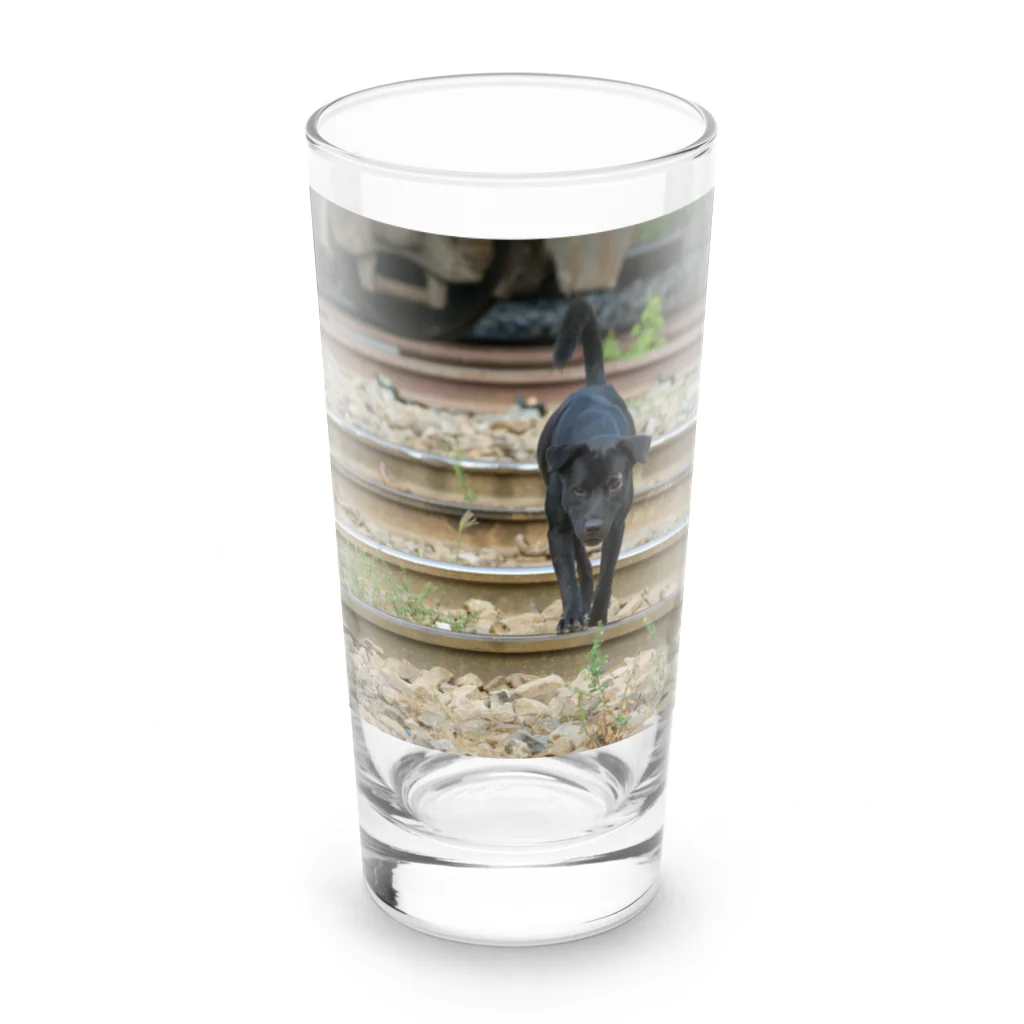 Second_Life_of_Railwaysのタイの鉄道旅行で出会った国鉄の線路がテリトリーの野良犬 Long Sized Water Glass :front