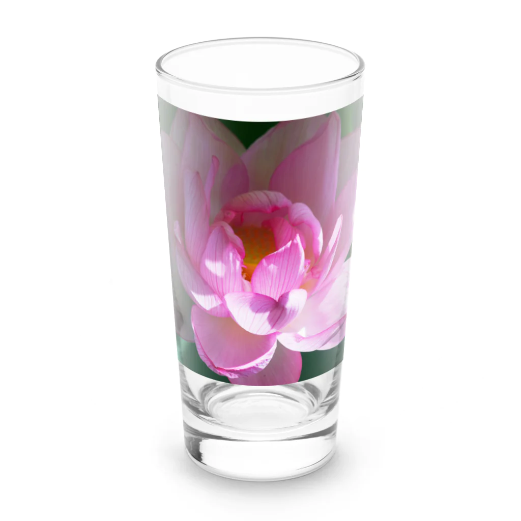 akane_art（茜音工房）の癒しの風景（ハス） Long Sized Water Glass :front