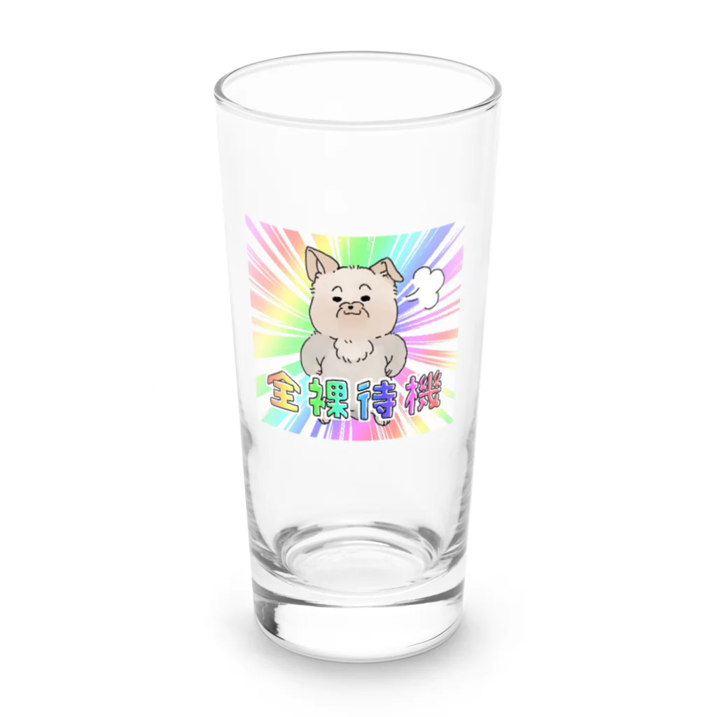 犬月ルカのヨーキーのノエルくん Long Sized Water Glass :front