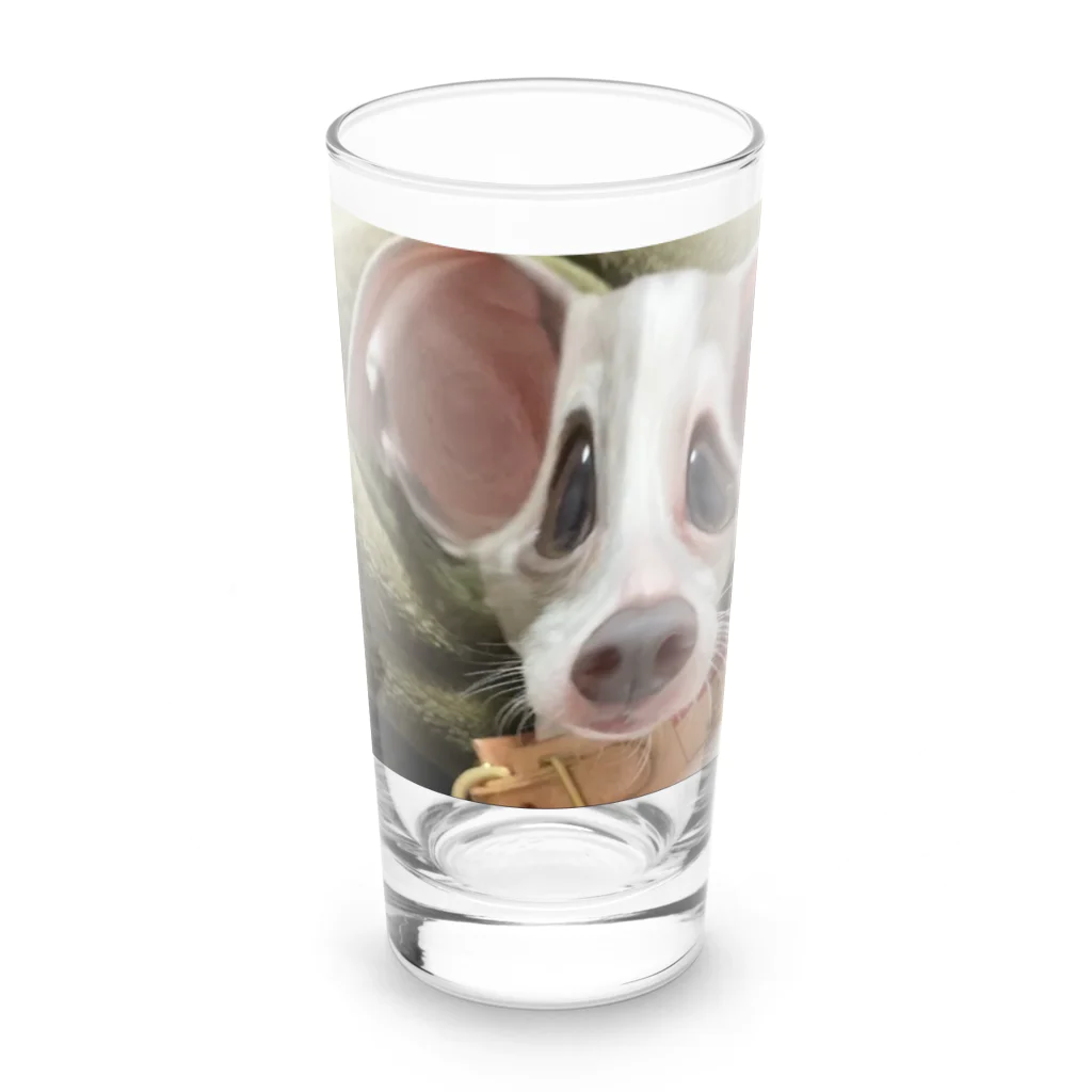 こはちのスピってる犬  Long Sized Water Glass :front