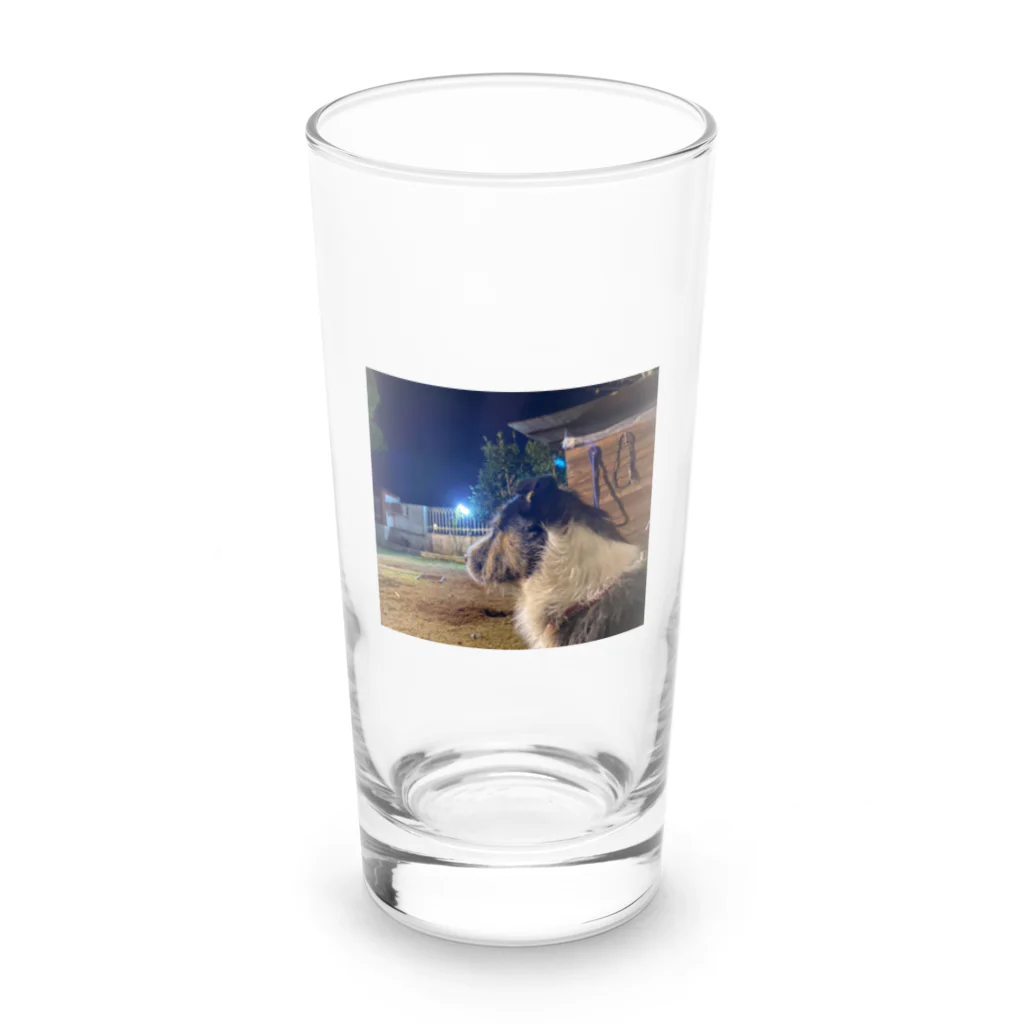 _masa_masa_のスタッフォードシャーテリア Long Sized Water Glass :front