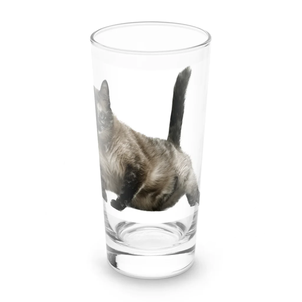 QDAのSLY Long Sized Water Glass :front