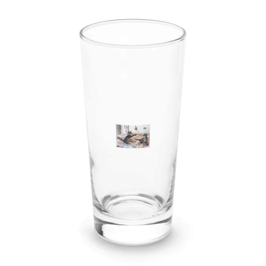 megu_suzuriのかわいい猫グッズ Long Sized Water Glass :front