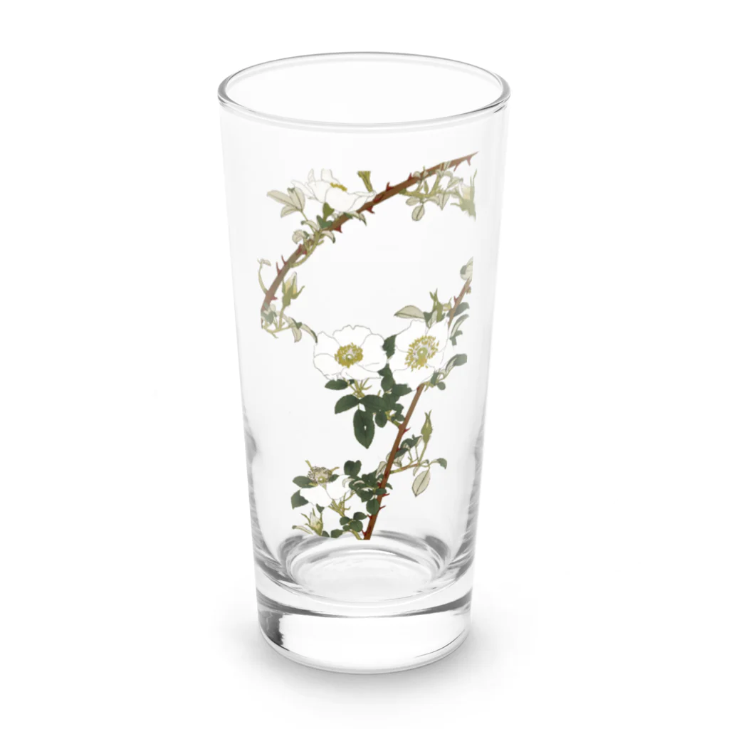 sachiko_goodsのなにはいばら Long Sized Water Glass :front