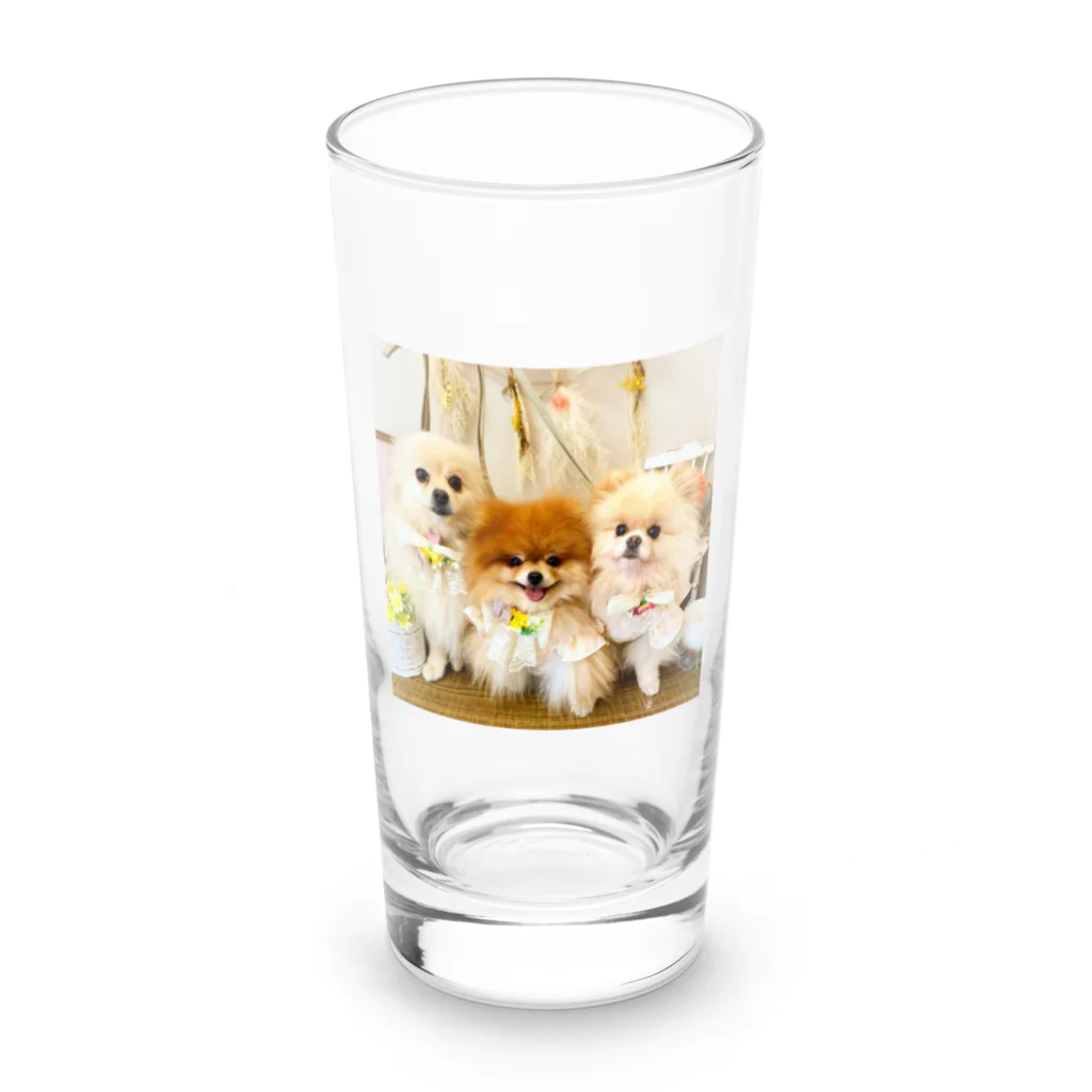 3pomeranian-leo-house　グッズショップのPomeranianlovers　ポメラニアン Long Sized Water Glass :front