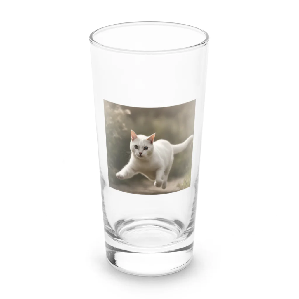 TAIYO 猫好きのフォトプリント美形白猫 Long Sized Water Glass :front