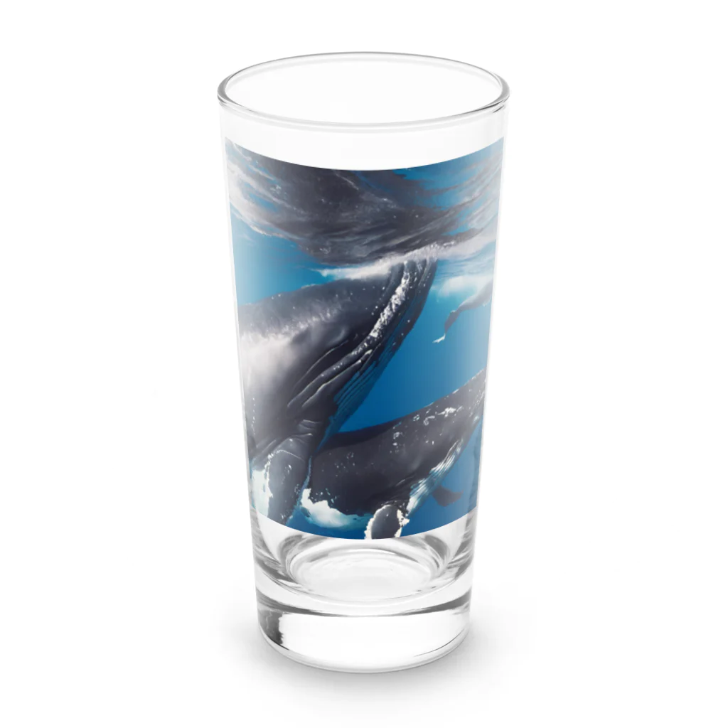 Fasterのシロナガスクジラ　親子 Long Sized Water Glass :front