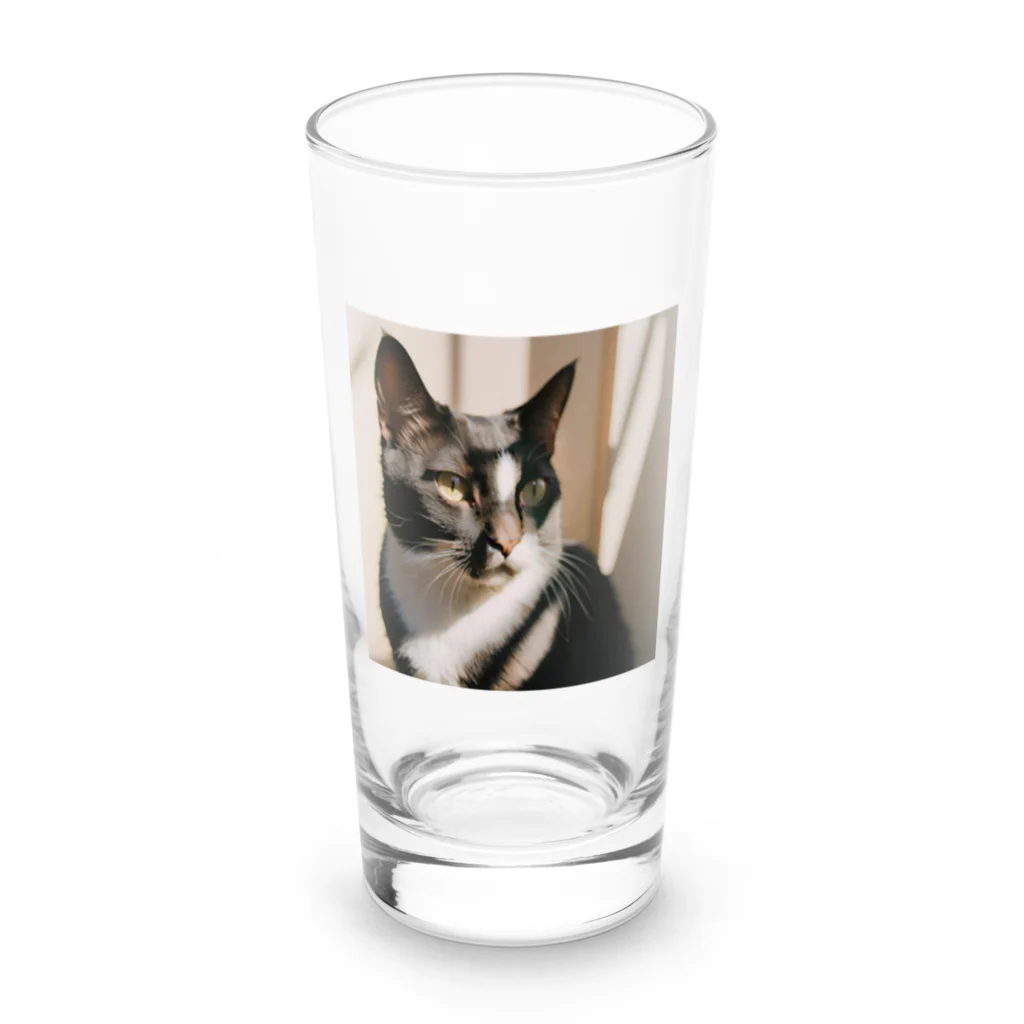 ことこと♂@トレーダーの黒ぶち猫 Long Sized Water Glass :front