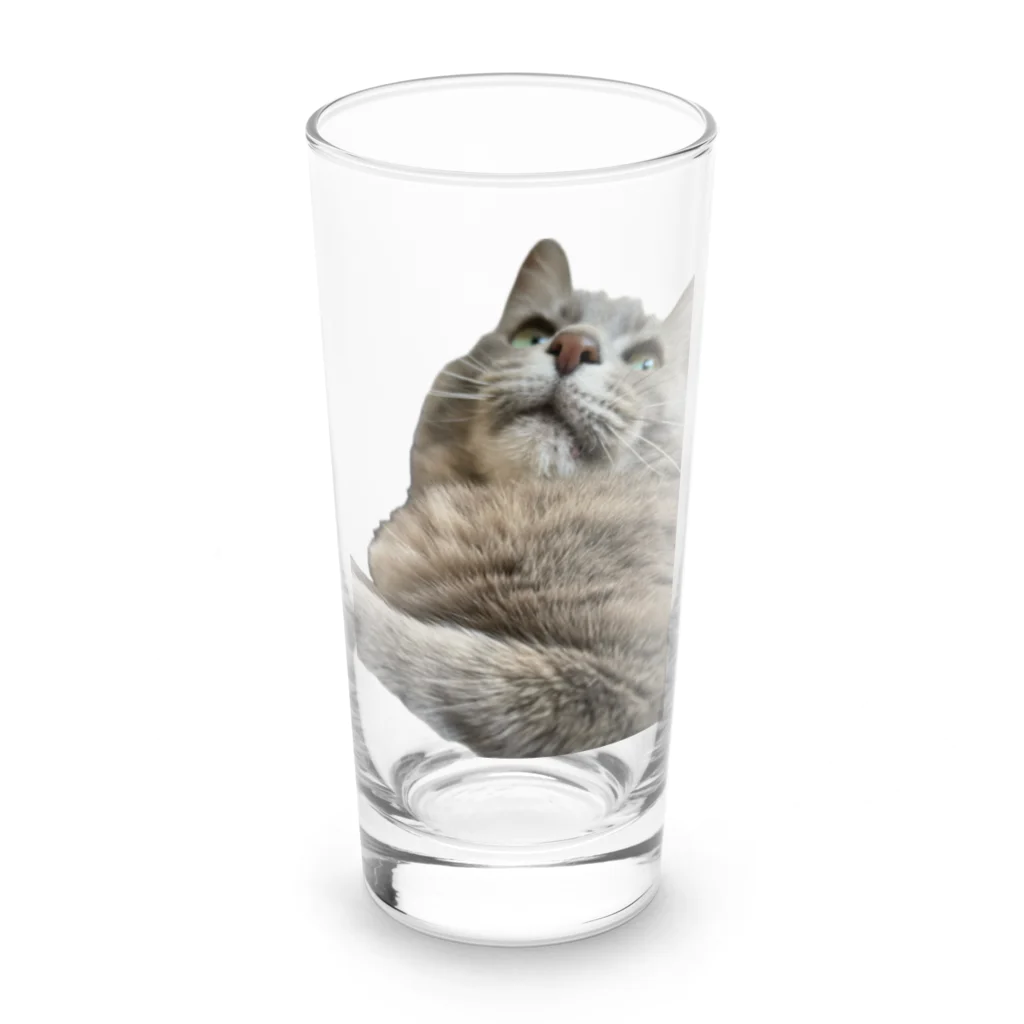 グレージュ猫ロッタン🐈‍⬛のよそ見ロッタン Long Sized Water Glass :front