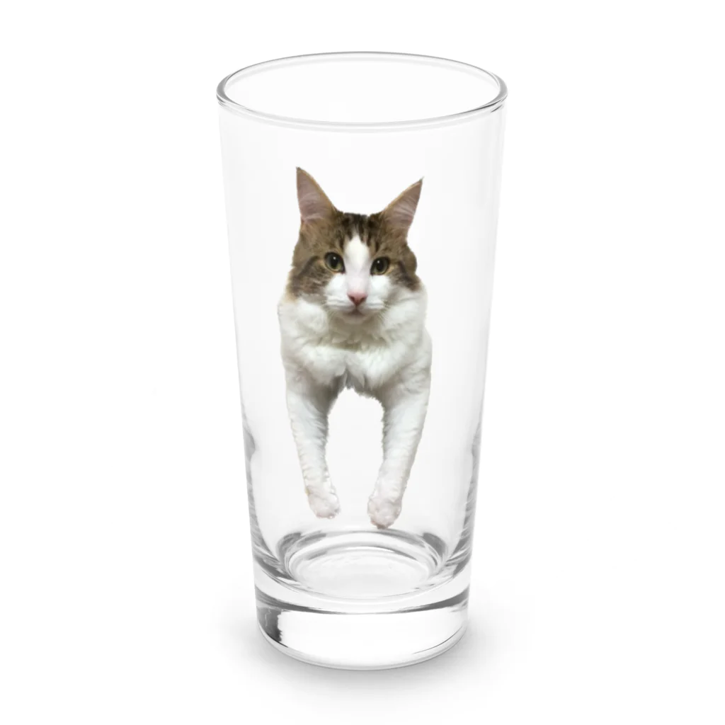 Diamondの猫のダイヤ Long Sized Water Glass :front