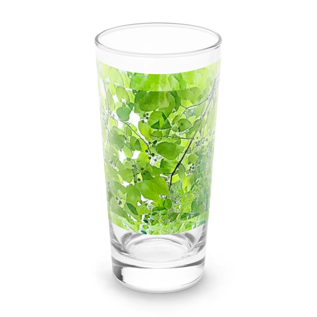 Hanamusubi001の森のエメラルド Long Sized Water Glass :front