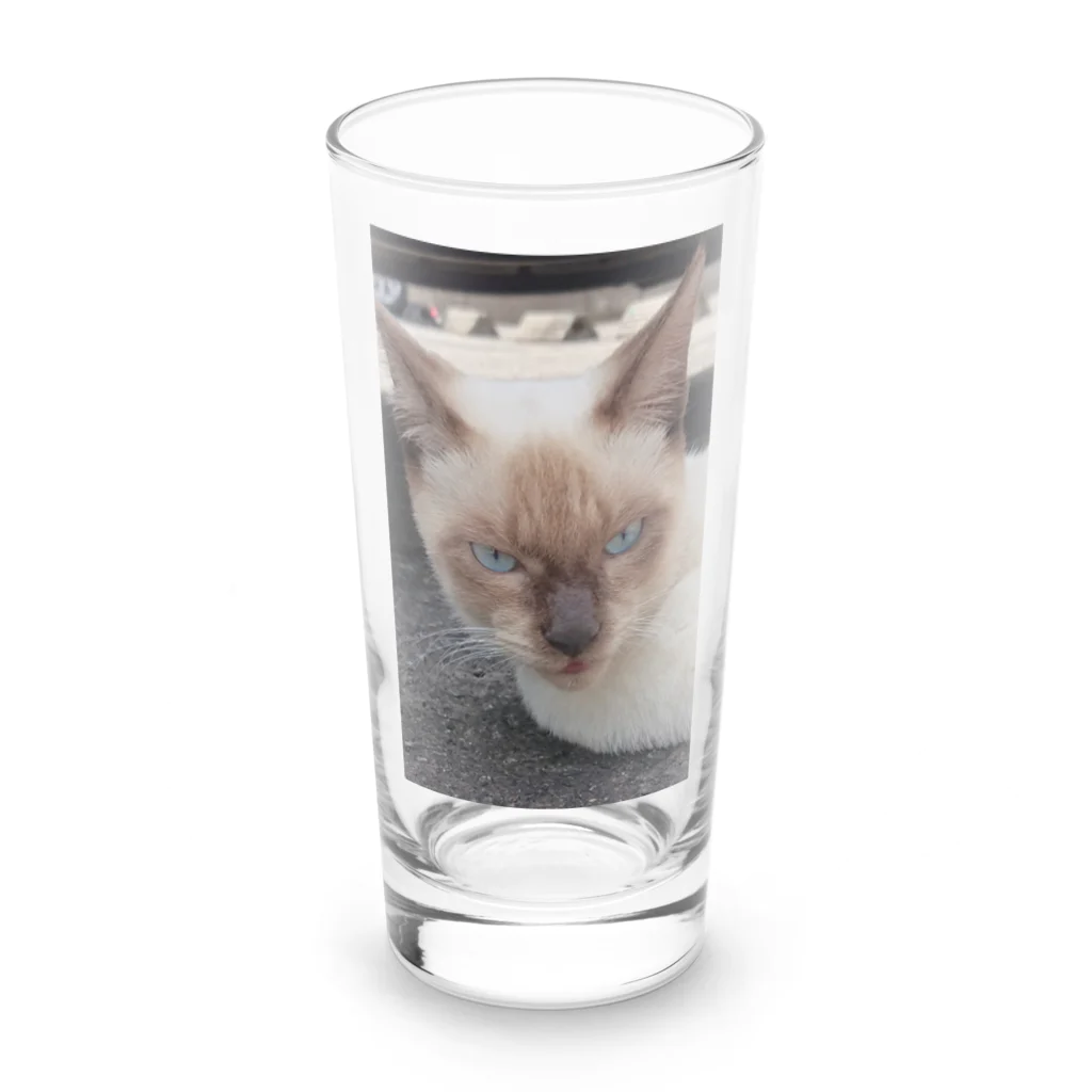 Makoto_Kawano Designの悪そうなのにカワイイ猫ちゃん Long Sized Water Glass :front