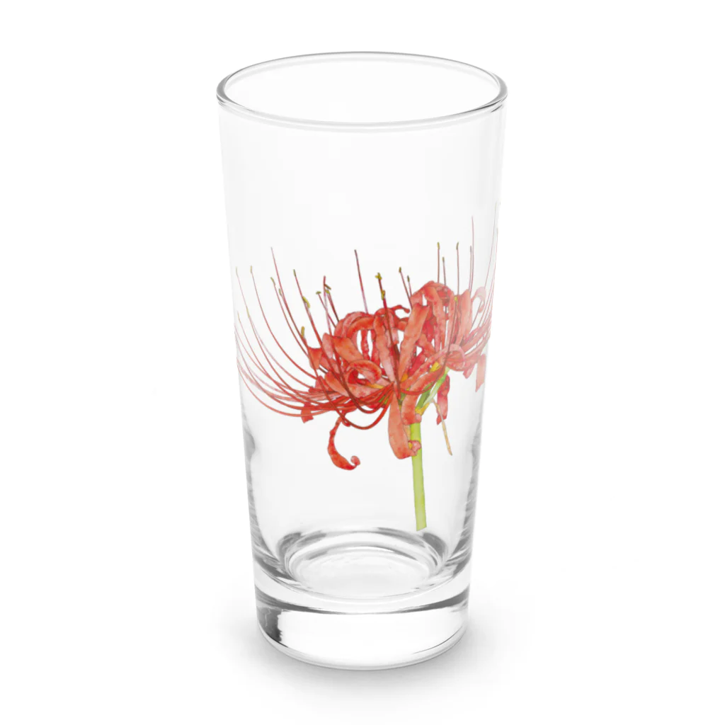 植物の絵師「洋子」の店の花だけが生える彼岸花 Long Sized Water Glass :front