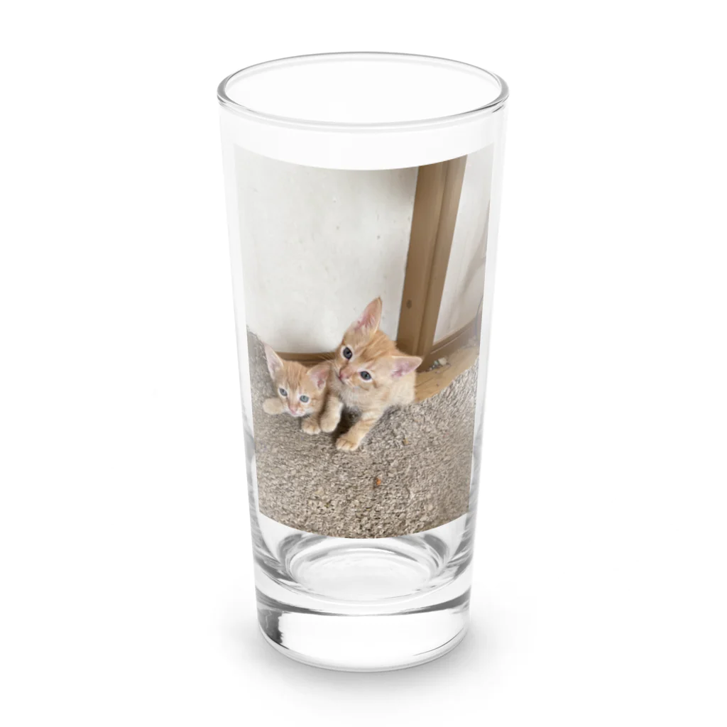 ANAROGUの可愛い猫 Long Sized Water Glass :front