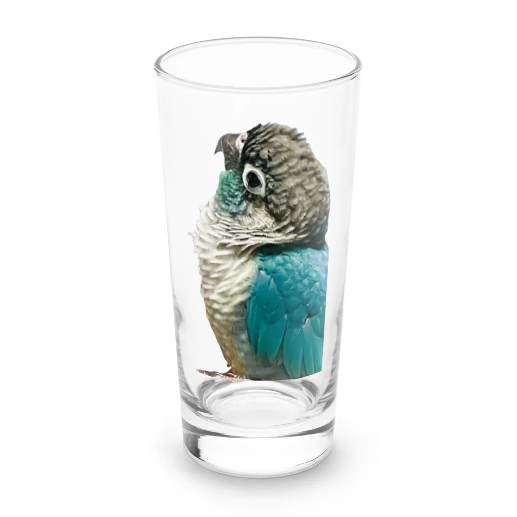 ウロコインコ好きの人へのなにみてるの？ Long Sized Water Glass :front