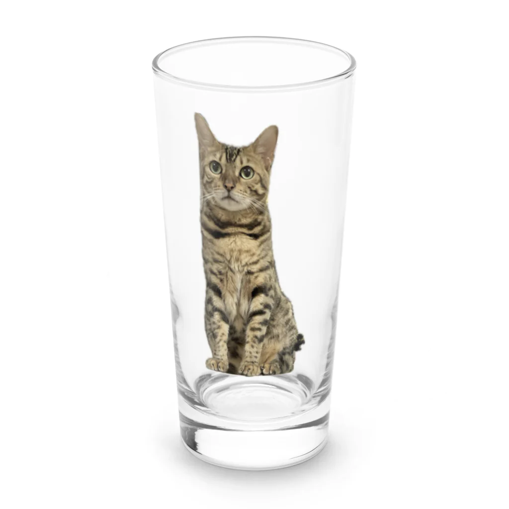 KYONDAのごにゃモデル Long Sized Water Glass :front