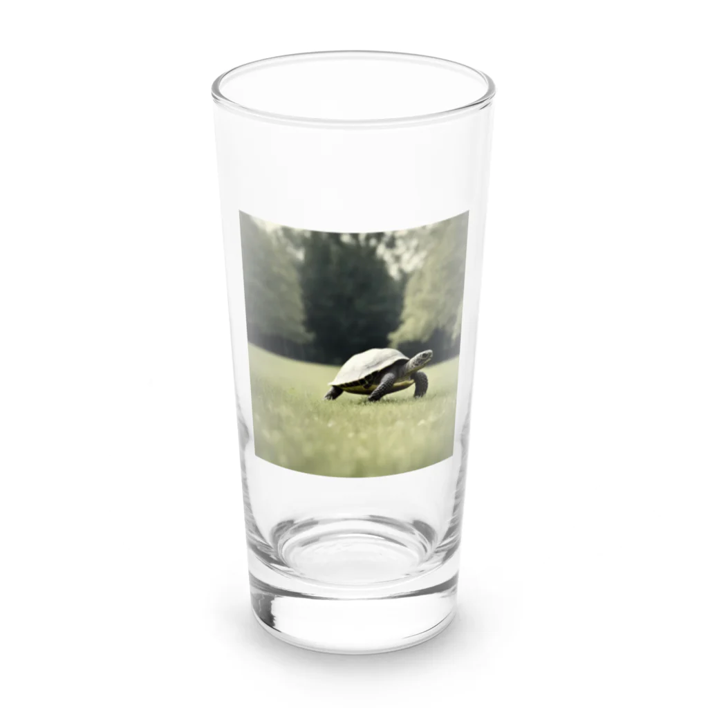 hinn-ketuの４、カメのお散歩 Long Sized Water Glass :front