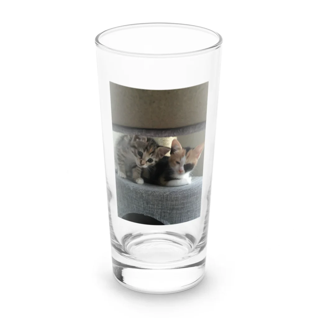 ショップyukimaroのネコちゃんたち Long Sized Water Glass :front