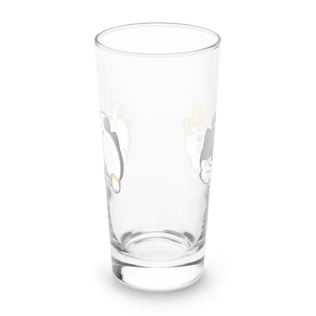 しぇるーののむっちり柴犬くん Long Sized Water Glass :front