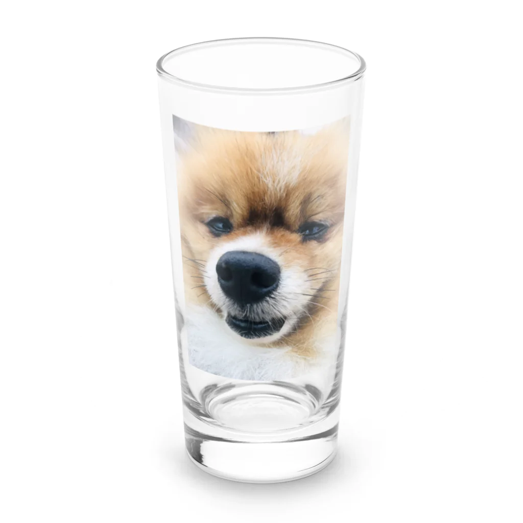 ポメラニアンのアリスくんのポメラニアンのアリスくん Long Sized Water Glass :front