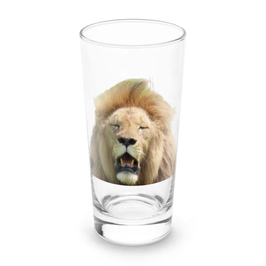 mayura_photoの眠そうなオスライオン Long Sized Water Glass :front