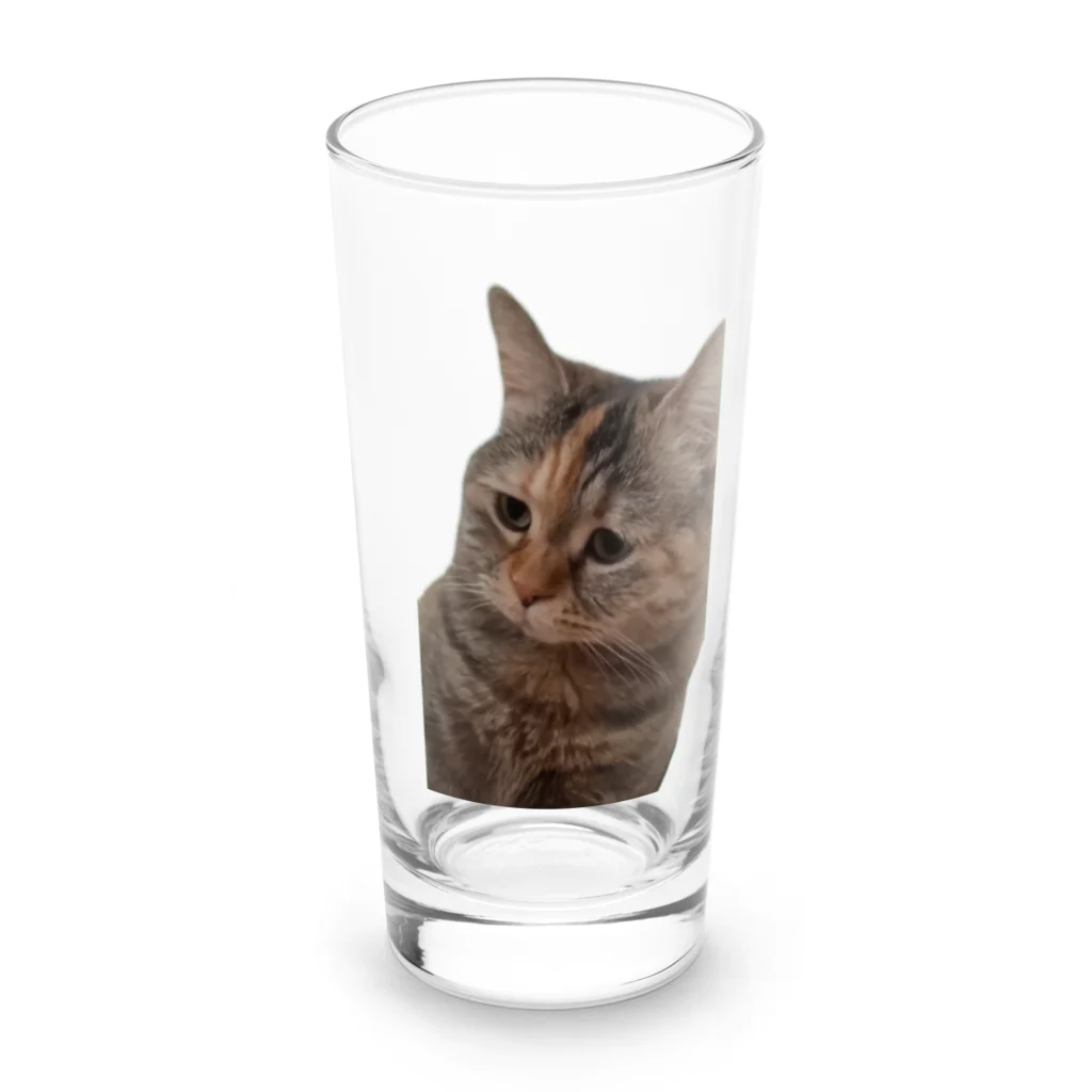 猫ミームグッズの【猫ミーム】叱られる猫 Long Sized Water Glass :front