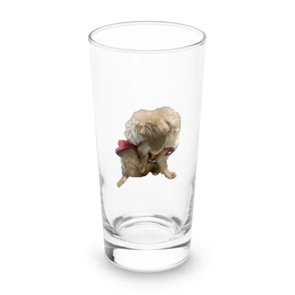 Ruice-Iceの犬　ガジガジ Long Sized Water Glass :front