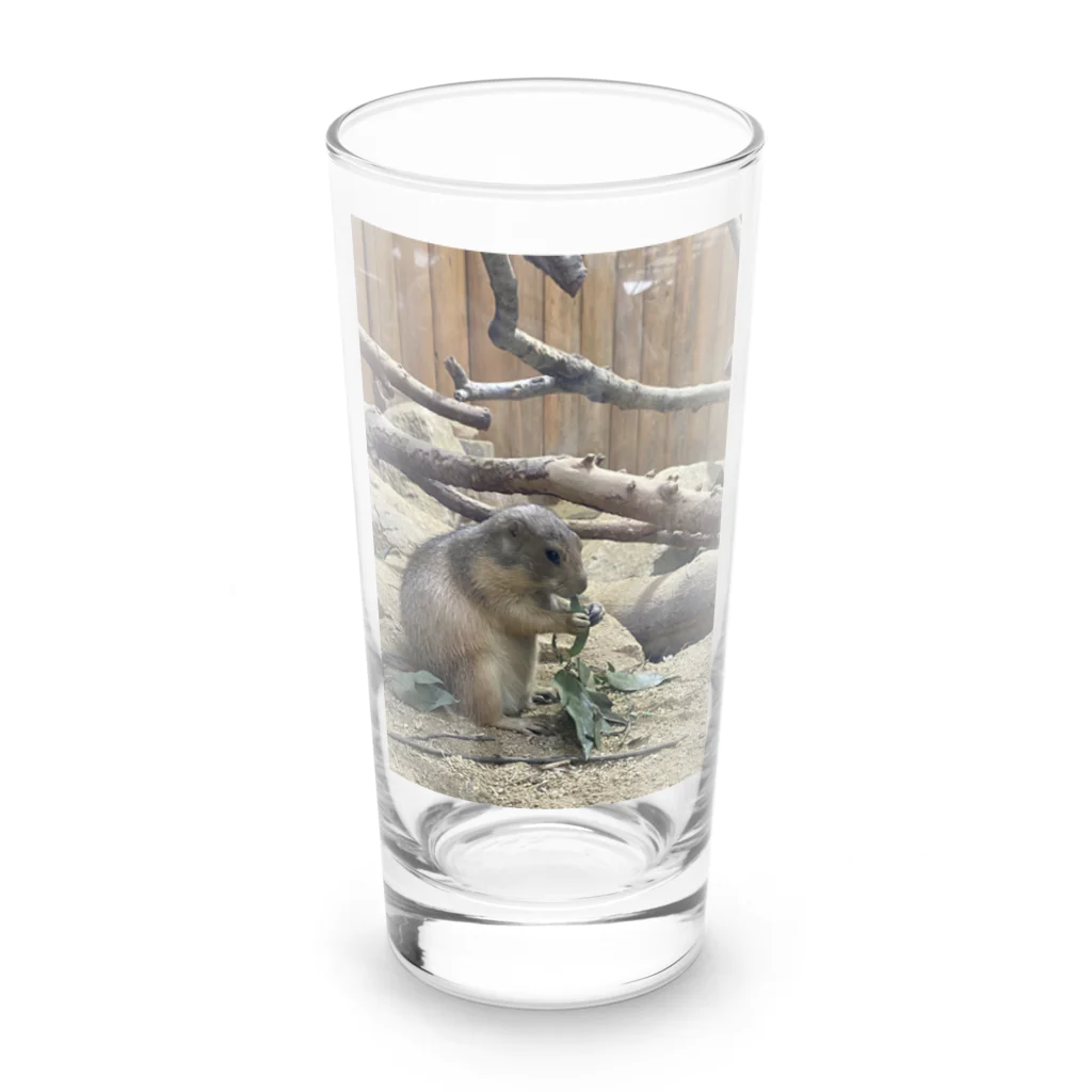 ドリームスケープギャラリーのモグモグ Long Sized Water Glass :front