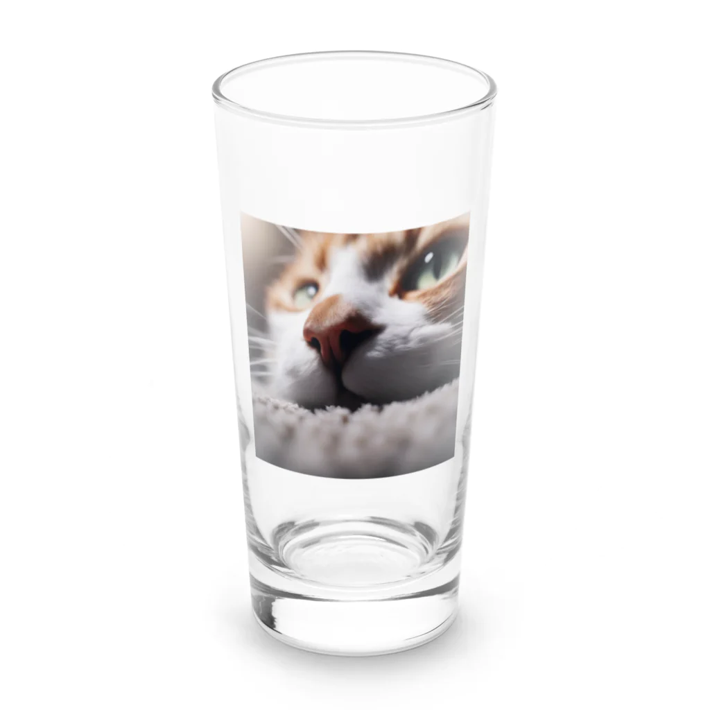 feliceのカーペットでごろんとする猫 Long Sized Water Glass :front