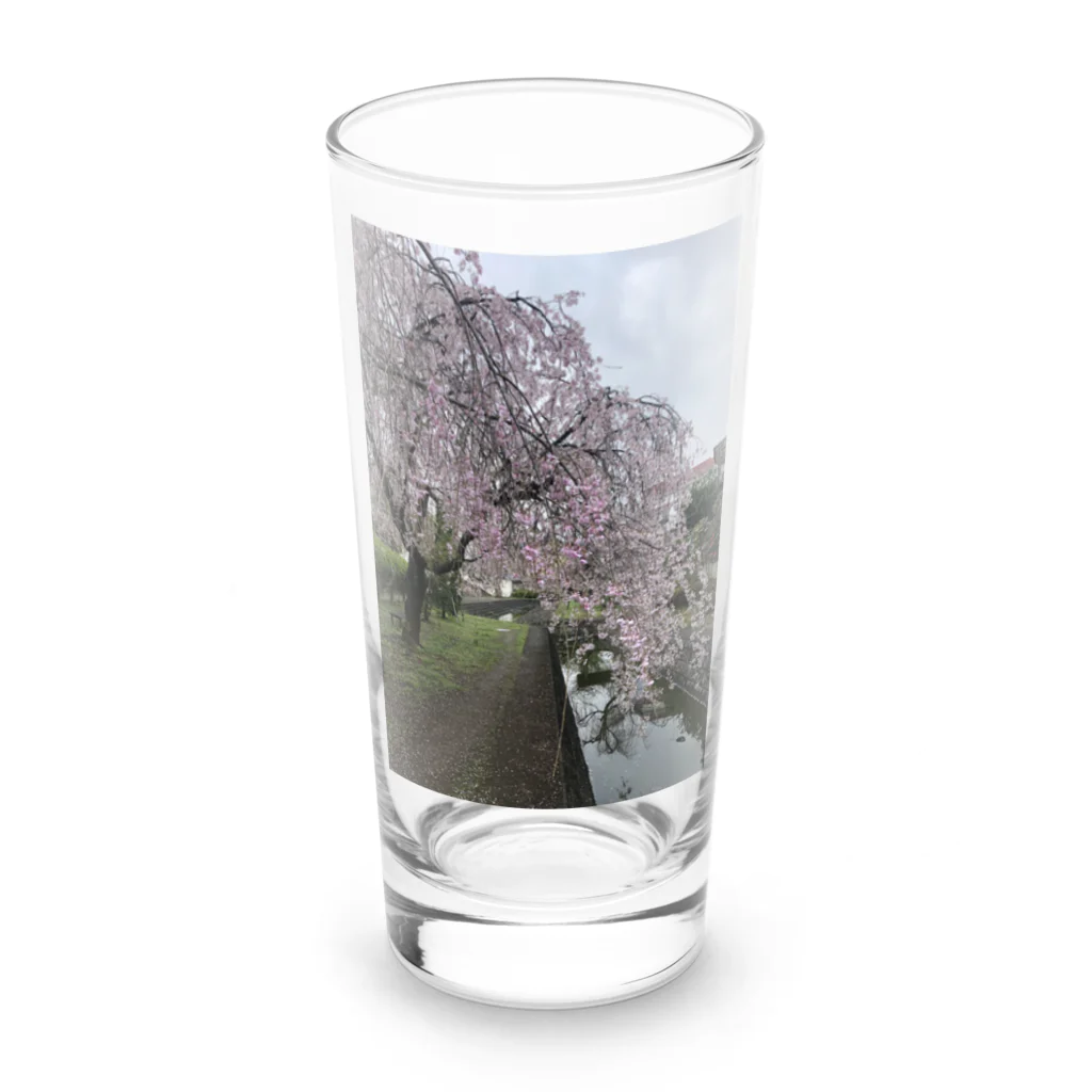 saitama-eit88の川桜 Long Sized Water Glass :front