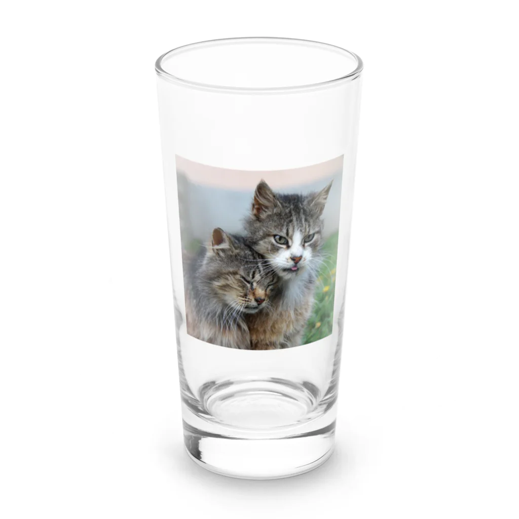 ニゴ猫　shopの愛だろう愛 Long Sized Water Glass :front