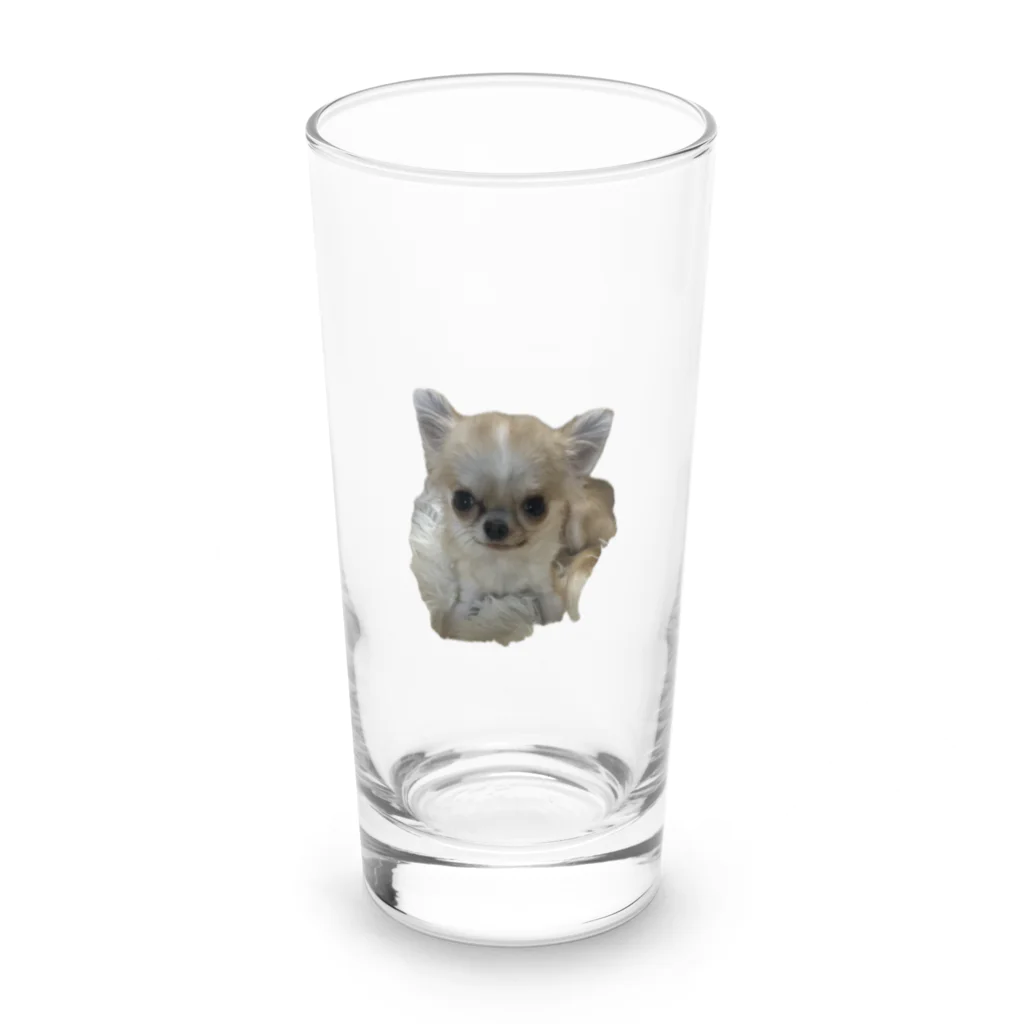 lovely-petsの極小チワワのマカロンちゃん Long Sized Water Glass :front