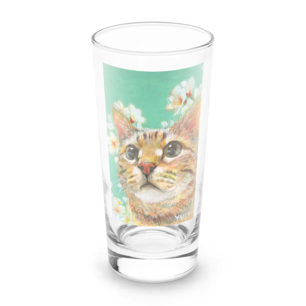 やさしい世界のさくらんぼの花とねこ Long Sized Water Glass :front