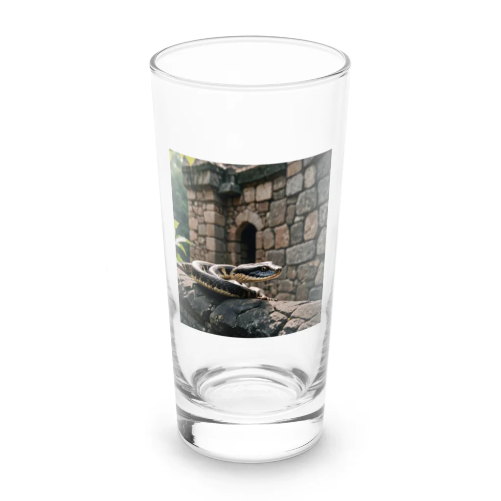 TakeKAKEの国外逃亡をはかる蛇 Long Sized Water Glass :front