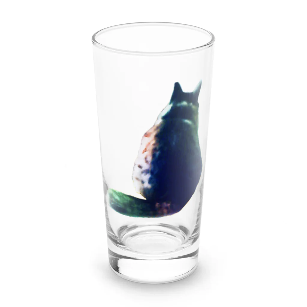 猫に恩返しのTORA Long Sized Water Glass :front