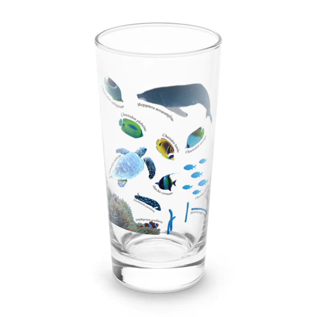 L_arctoaの沖縄の海の生き物 Long Sized Water Glass :front