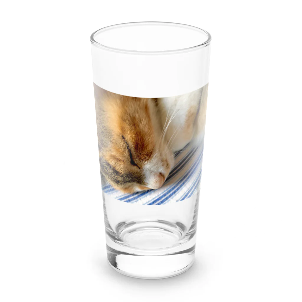 ねこちゃんが大好きなのです。の愛猫れいにゃんのグッズ Long Sized Water Glass :front